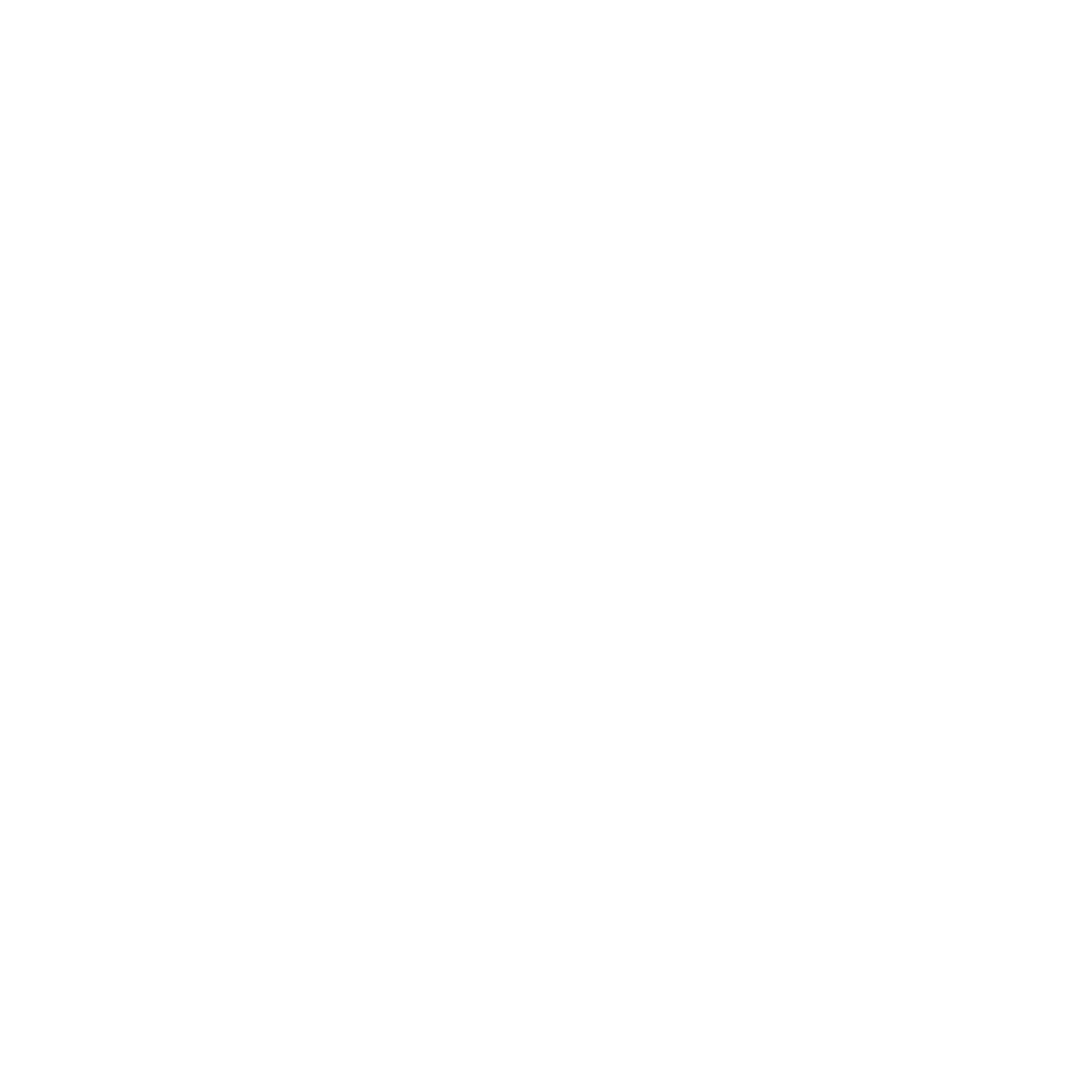 "Karnevalsschleier: Lies die Kasse durch!"